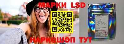 PSILOCYBIN Краснознаменск