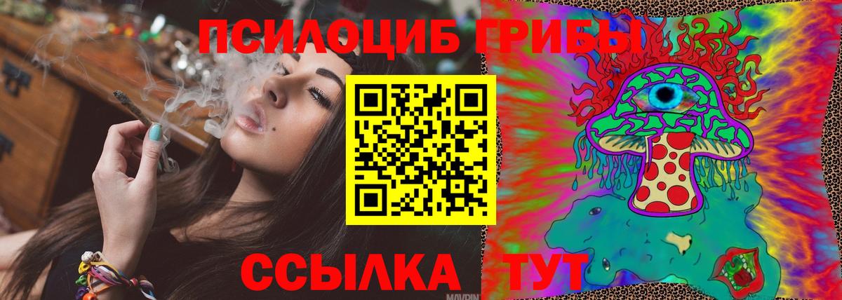 Псилоцибиновые грибы мицелий Ирбит