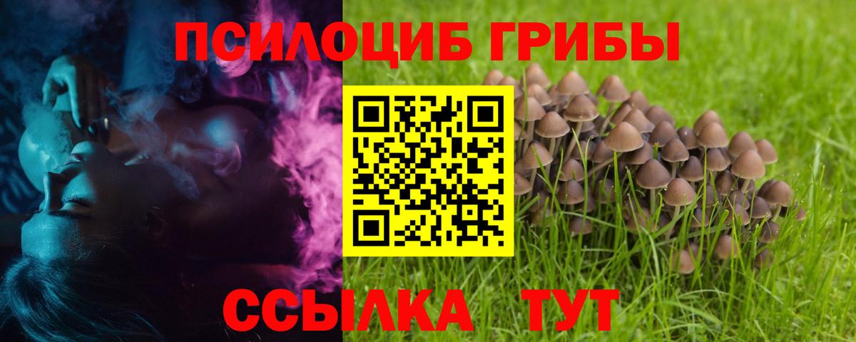 Псилоцибиновые грибы MAGIC MUSHROOMS  Вход с VPN  Псилоцибиновые грибы Magic Shrooms  Ирбит 